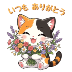 Remy the Calico Cat