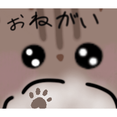 Mint_20260508182315