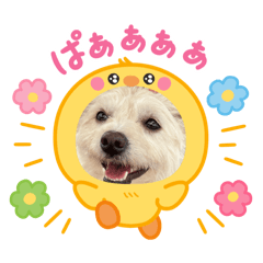 kawaii_20260510084726