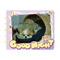 Nunny_20260512154025