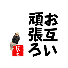NNN_20260510084709