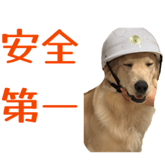 haru_20260510082707