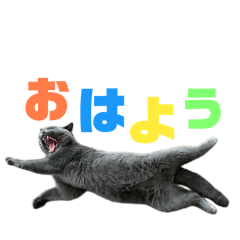 rinnogeboku_20260510085117