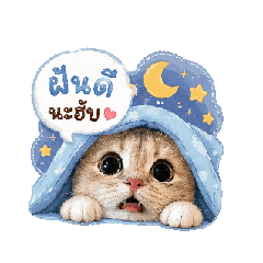 wannisa_20260512212453