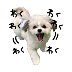 Ayuka_20260510085249