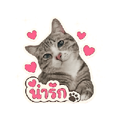 Love Love_20260512214041