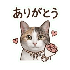 fujiko_20260509215011