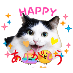 sarnya3_20260509215323
