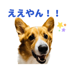 bunbun_20260509214924