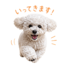 Smiley  momo_20260509215655