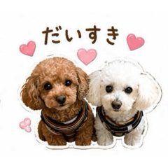 tukunekobusi_20260509215908