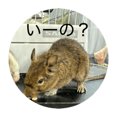 nodokat_20260509220129