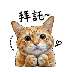姆姆與娜娜