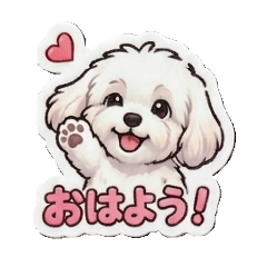 takayuki_20260509222523