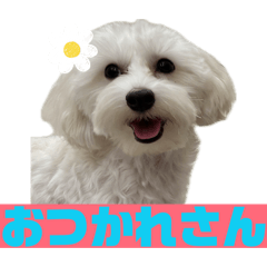 mi-chan_20260509225107