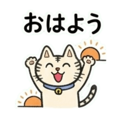 hu_ta_20260509225401