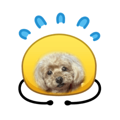 ciel_20260510085710