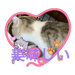 Mayu.yuyuyu_20260510090059