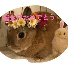 yumatsu_20260510085425