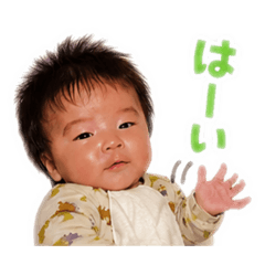 TOMAsuta--np