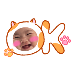 RIHO_20260510091403