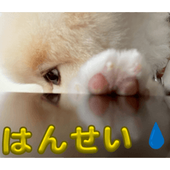 rain_20260510091928