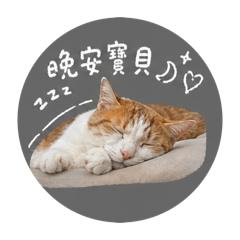 小屁貓吳嚕嚕