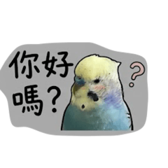 懶得打名字了