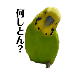 Deko_20260509230516