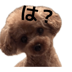 POO LOVE_20260509230327