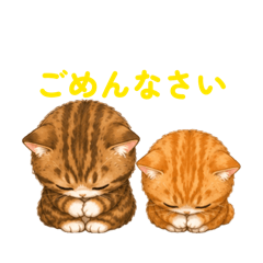 suu3_20260510102641