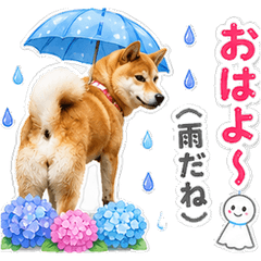 Rainy Day Hana
