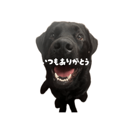^-^_20260510110800