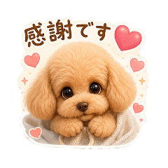 shochandokodoko12