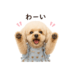kuu_20260510105713