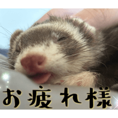 kani_20260510110119