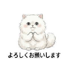 kumakosan_20260512135146