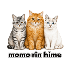 3cats sweet sticker