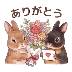 Alto and Kyle's Gentle Rabbit Life