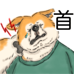 AkitaDogMofuo's Useful Clinical Messages