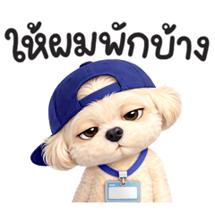 พุดเดิ้ล ทำงาน