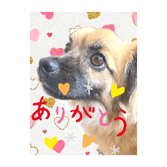 NamiNami_20260428191756