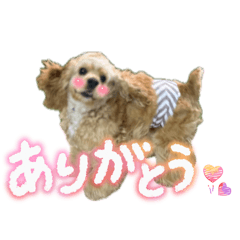 reeeeei_20260428205223