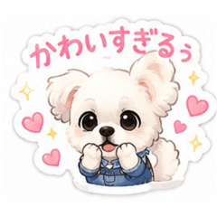 anzu_20260509201450