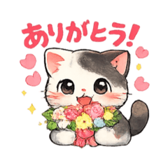 mami_20260509201212