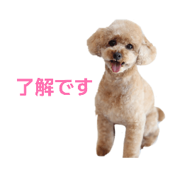 akari_20260510005521