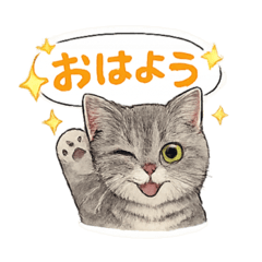 LuYuSu_20260510004348