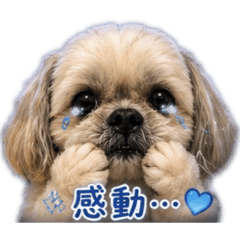 yuuka_20260510010034