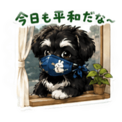 My puppy_20260512225110