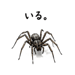 Spider Panic Reaction Stickers